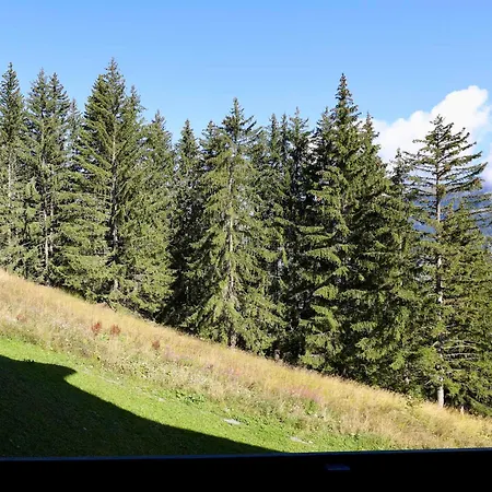 Skis Aux Pieds Pour 4 Pers - Village - Fr-1-575-10 Apartment